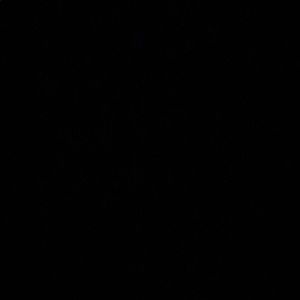 Meet your Posher, Cynthia